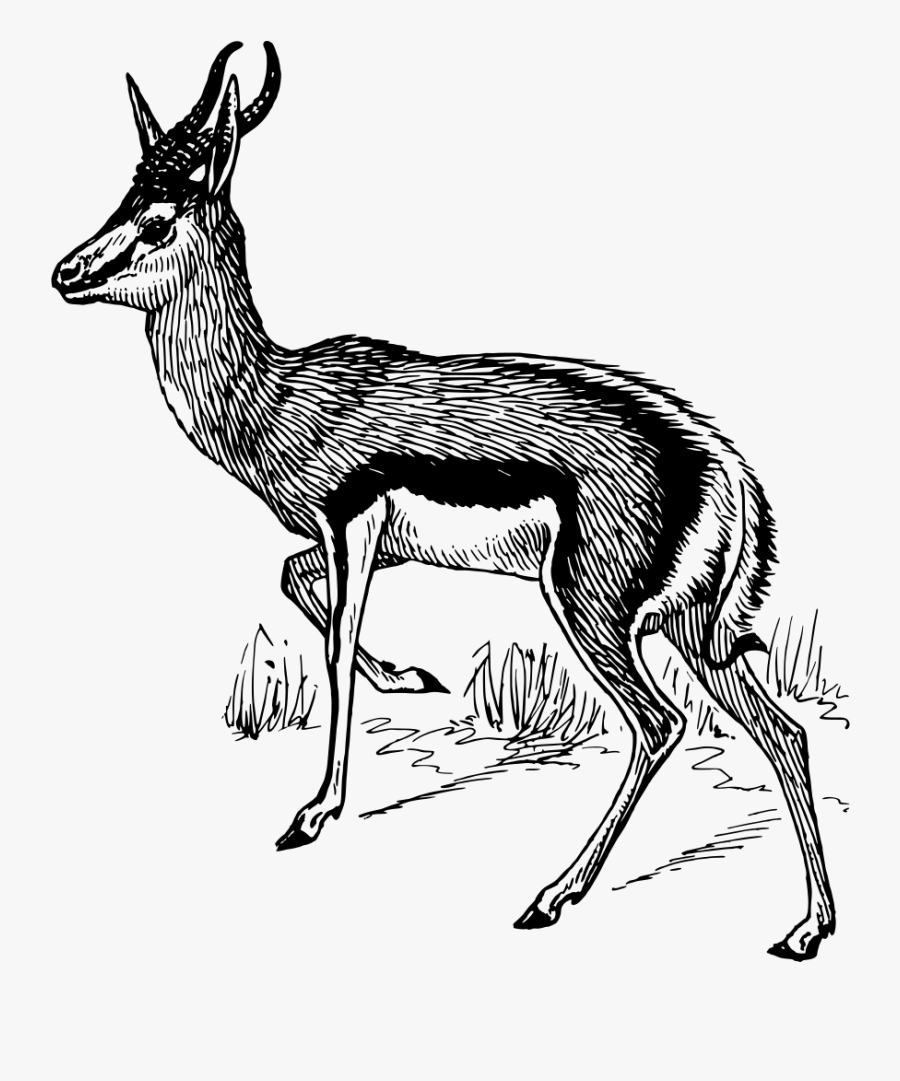 Get Dressed Clip Art, Transparent Clipart