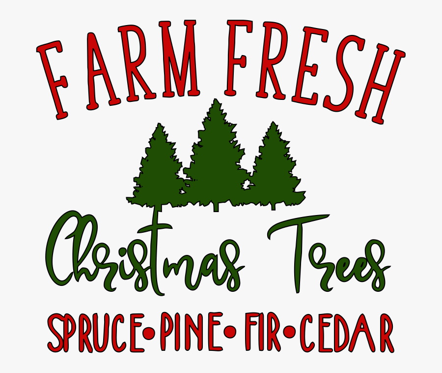 Christmas Tree, Transparent Clipart