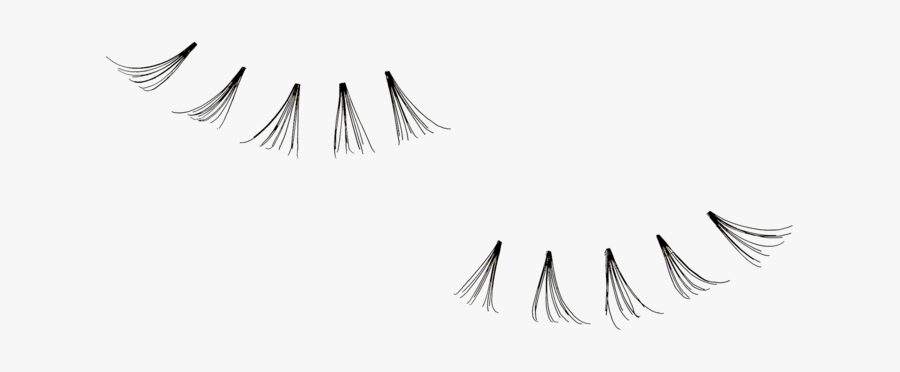Eyelash Extensions, Transparent Clipart