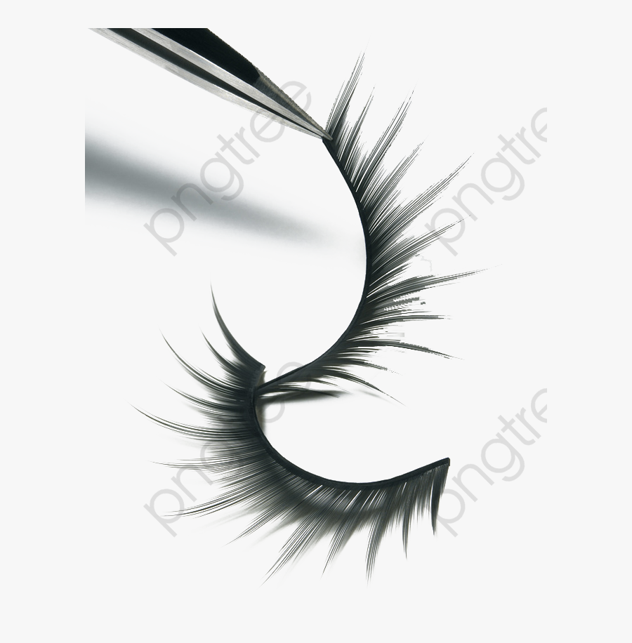 Eyelashes Clipart Png - Eyelash Product Photography, Transparent Clipart