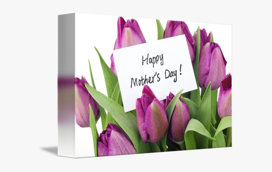 Clip Art Purple Happy Mothers Day - Mothers Day New Zealand, Transparent Clipart