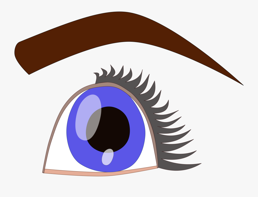 Blue Eyes Clipart Eyeball - حاجب Clipart, Transparent Clipart