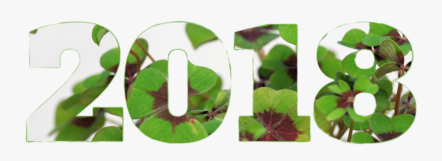 Šťastný Nový Rok 2018, Transparent Clipart