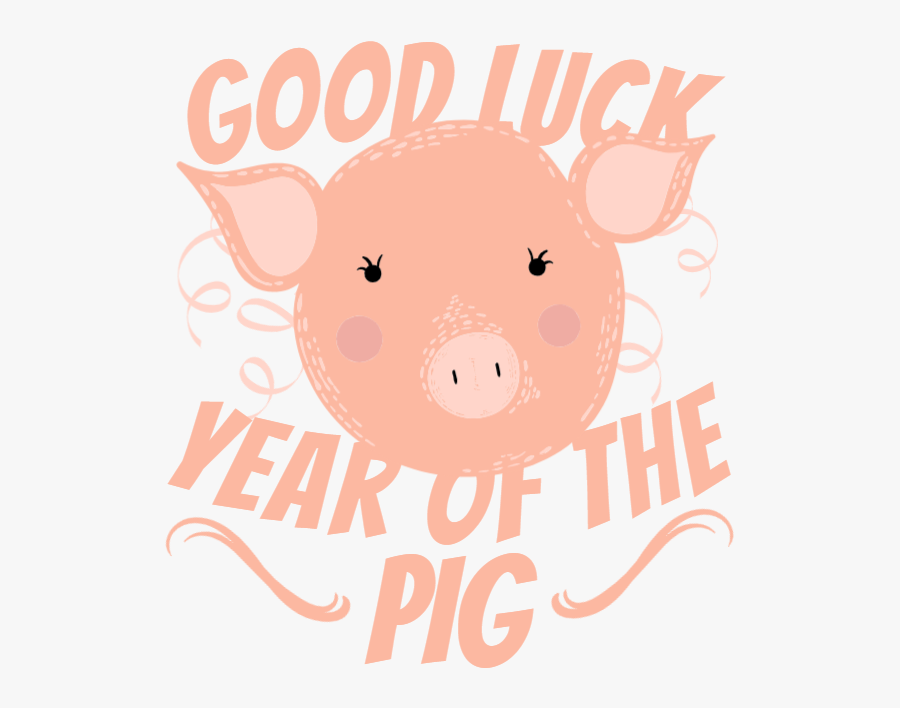 Domestic Pig, Transparent Clipart