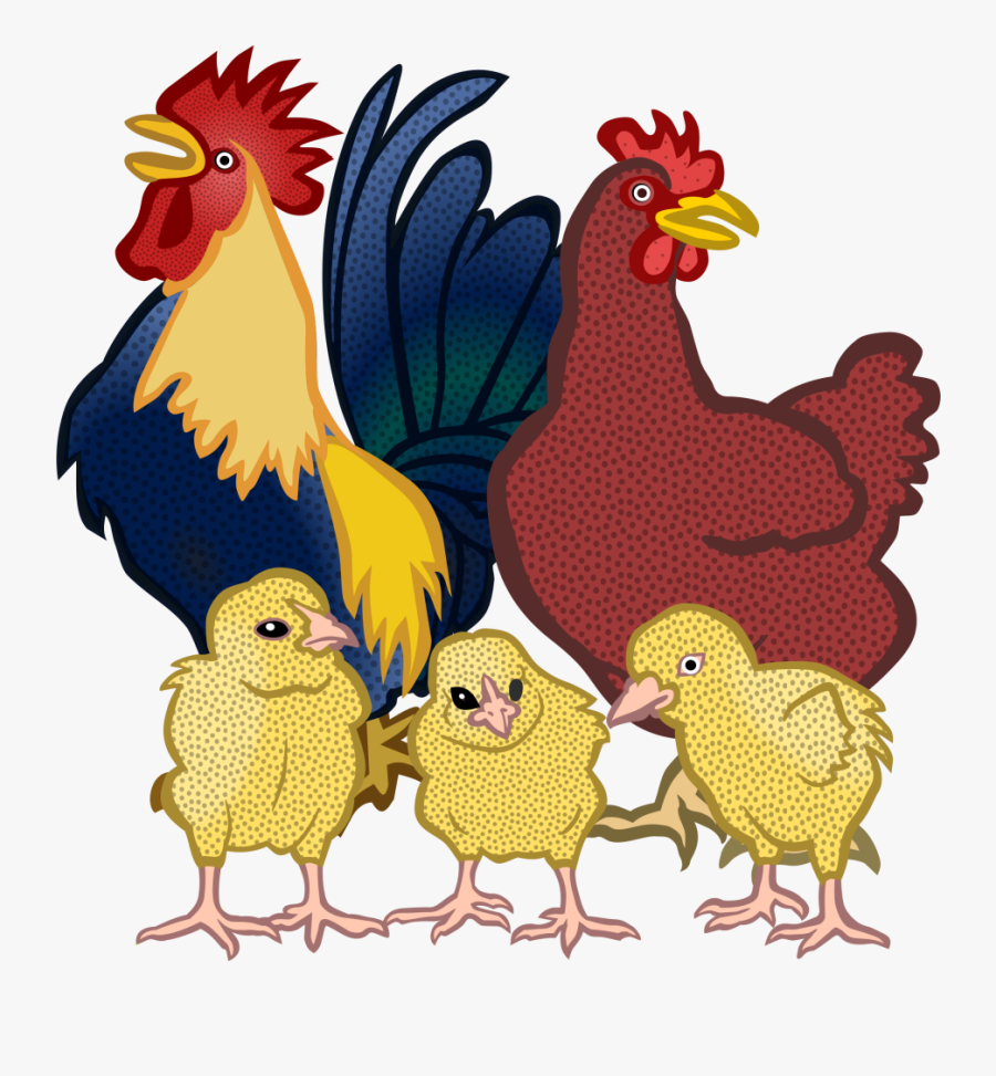 Chickens - Coloured - Chickens Clipart, Transparent Clipart