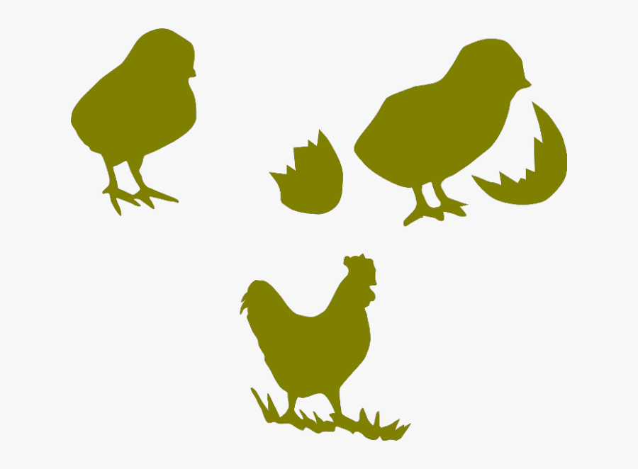 Chicken Cock Poultry Hen Transparent Png Images - Poultry Farm Chicks Logo, Transparent Clipart