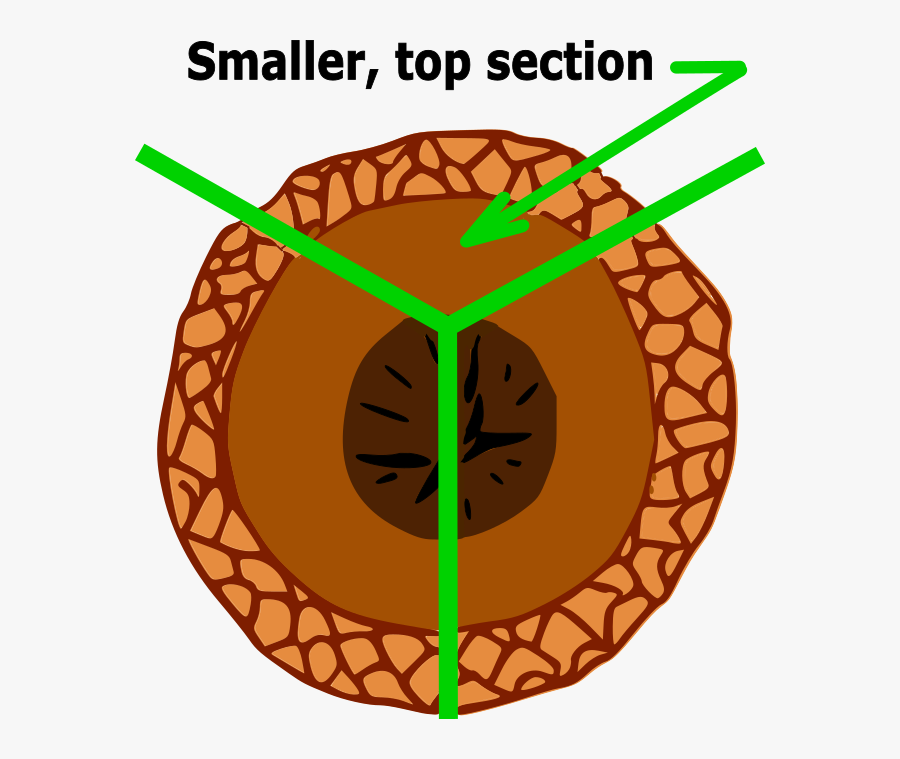 Acorn Whistle, Transparent Clipart