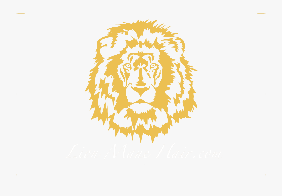 Clip Art Lion Black And White - Tattoo Of Lion Easy, Transparent Clipart