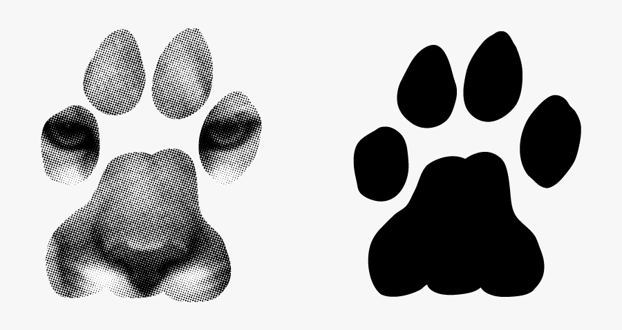 Mt Lion Track - Transparent Lion Paw, Transparent Clipart