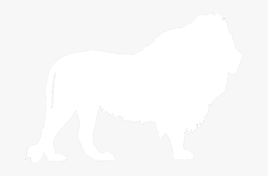 Lion White Outline Transparent, Transparent Clipart