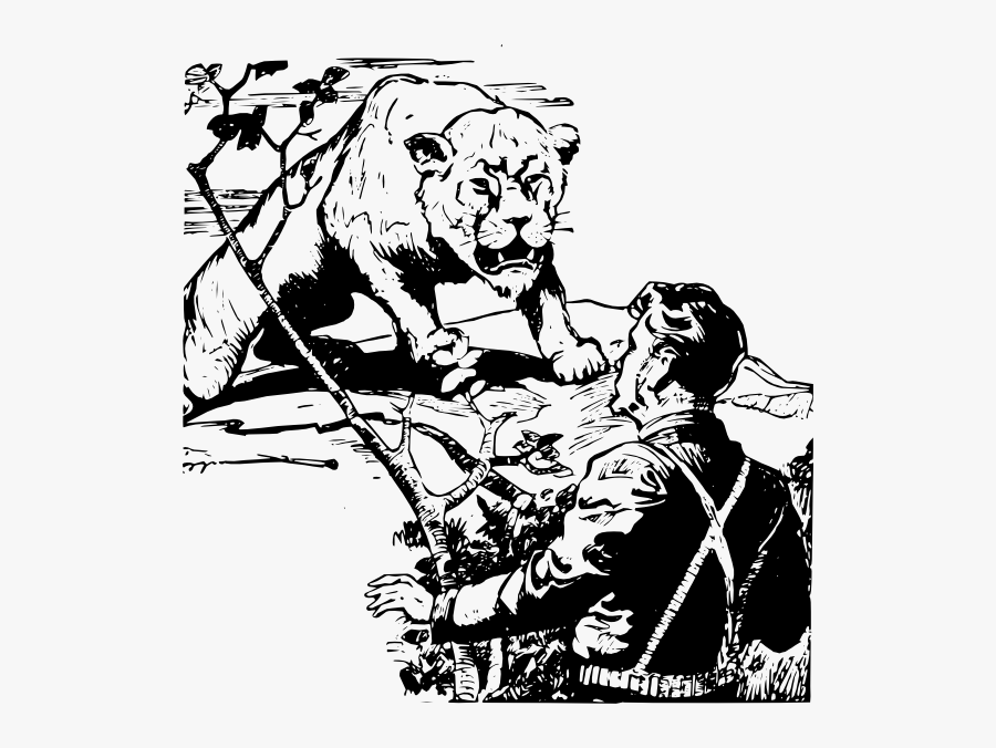 Lion Svg Clip Arts - أسد يواجه إنسان صور, Transparent Clipart