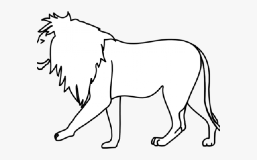 Walking Lion, Transparent Clipart