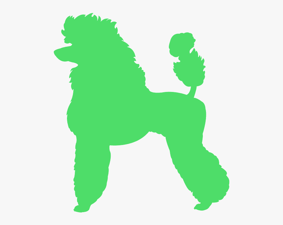 French Poodle Poodle Silhouette, Transparent Clipart