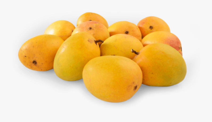 Transparent Mango Clipart - Ratnagiri Alphonso Mango, Transparent Clipart