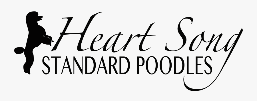 Heart Song Standard Poodles - Calligraphy, Transparent Clipart