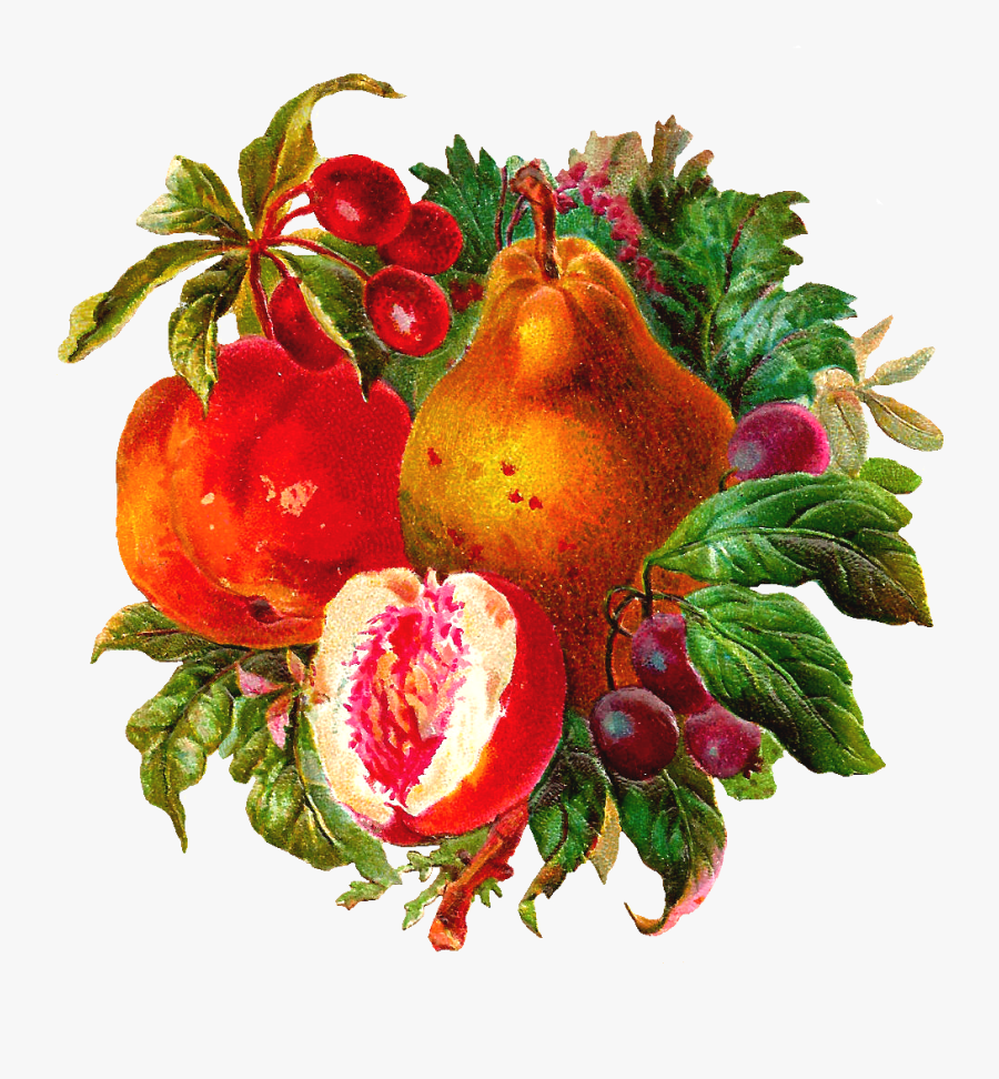 Pomegranate, Transparent Clipart