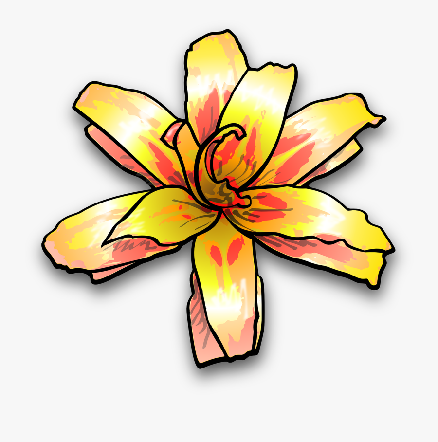 Plant Lily, Flower, Yellow, Painterly, Colour, Plant - Yellow Flower Clip Art, Transparent Clipart