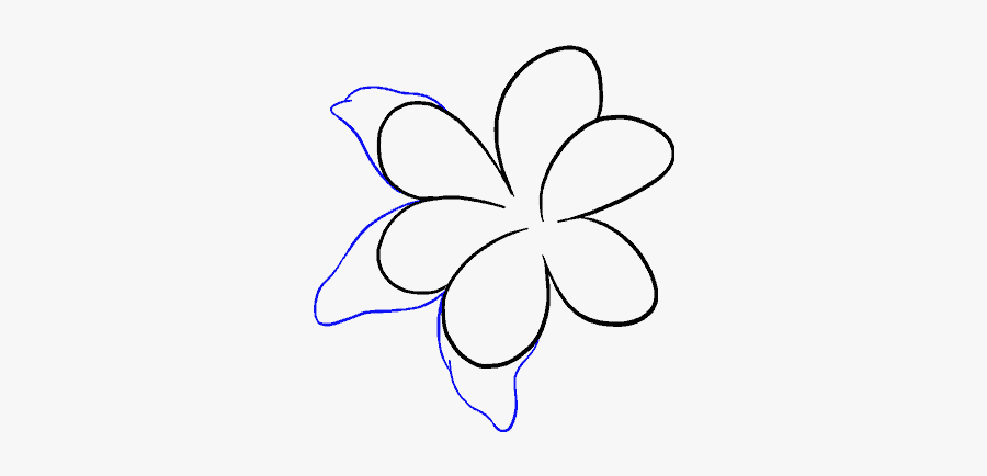 How To Draw A Lily Step - Line Art, Transparent Clipart