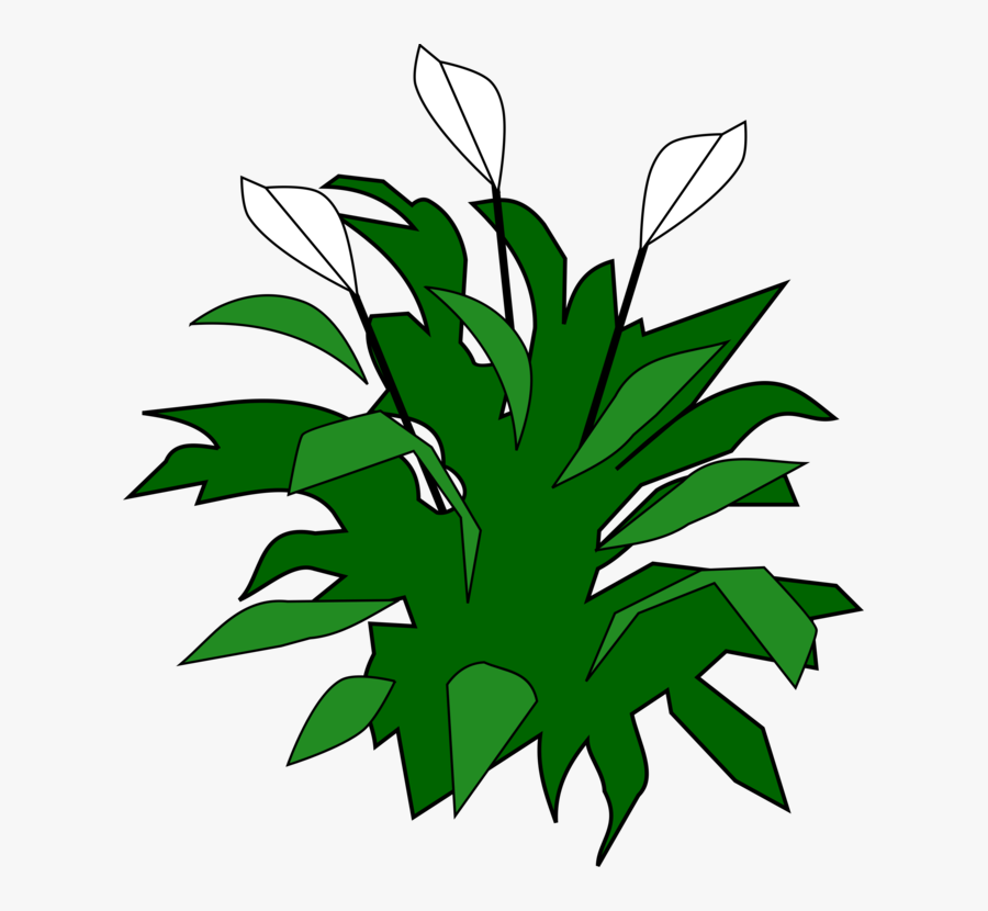 Line Art,plant,flora - Peace Lily Clipart, Transparent Clipart