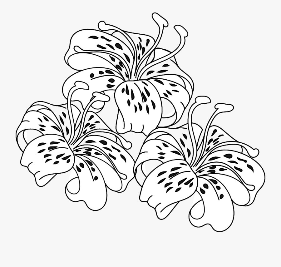 Lilies Clipart Drawing - Free Digi Stamps Floral, Transparent Clipart