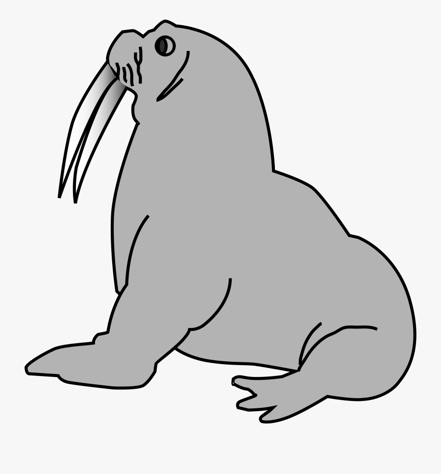 Dog Tags Clip Art Download - Walrus Clipart, Transparent Clipart