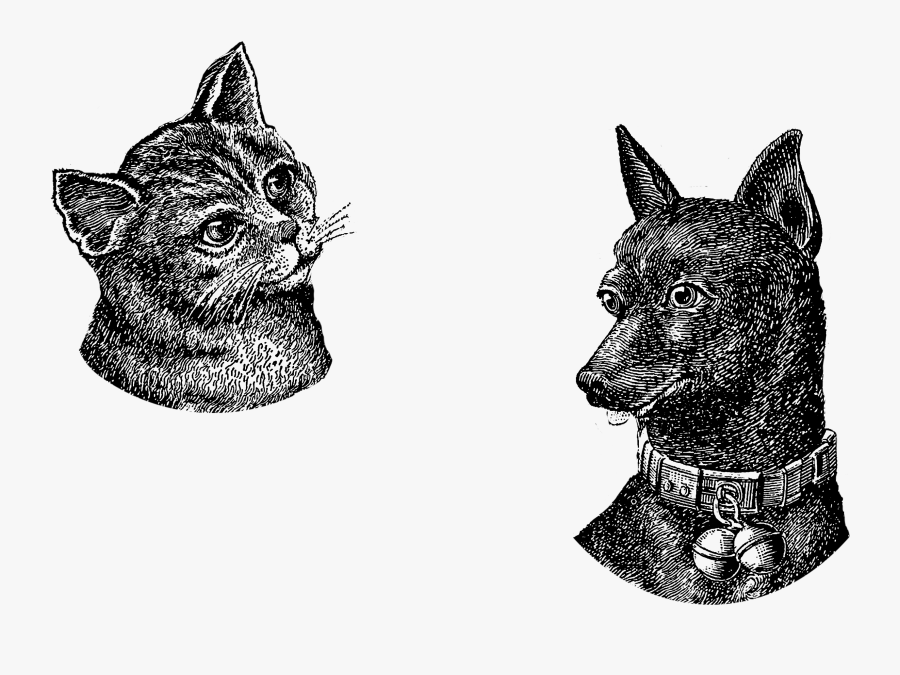 Sketch, Transparent Clipart