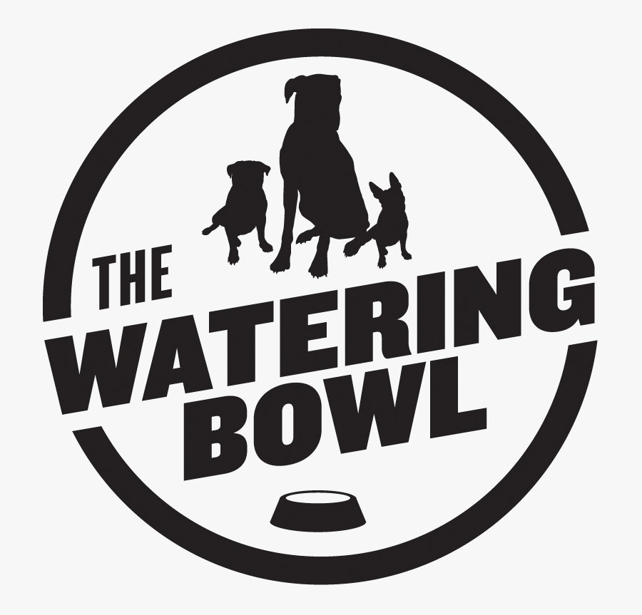 Watering Bowl, Transparent Clipart