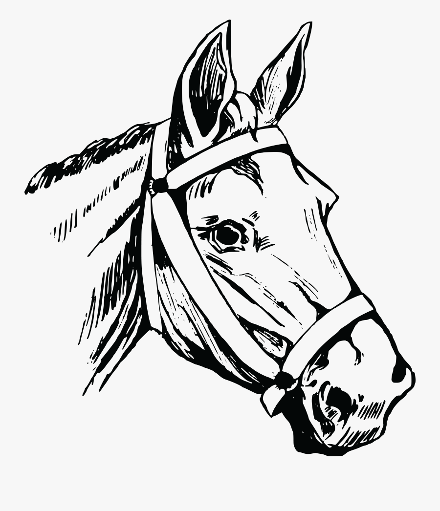 Horse Head Mask American Quarter Horse Clip Art - Free Transparent Horse Head, Transparent Clipart