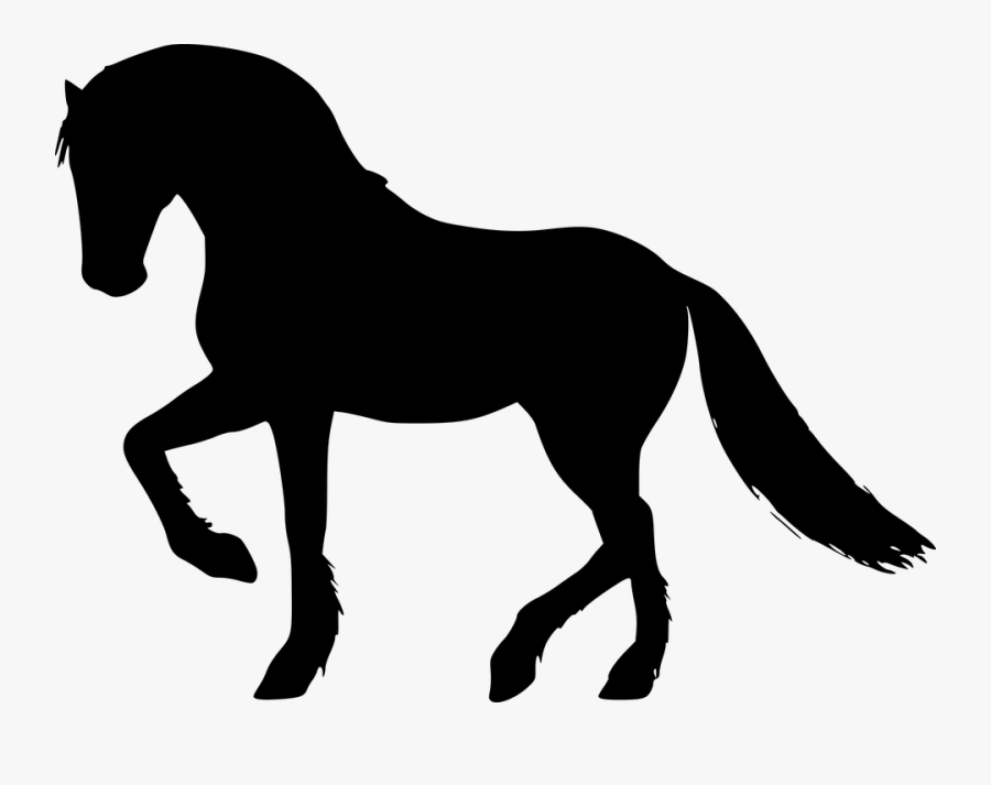 Transparent Horse Head Silhouette Png - Silhueta De Cavalo Alado, Transparent Clipart
