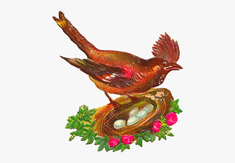 Clip Art, Transparent Clipart