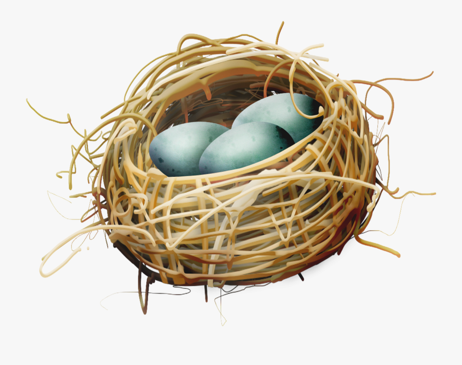 Bird Nest Egg - Bird Nest With Eggs Clipart, Transparent Clipart