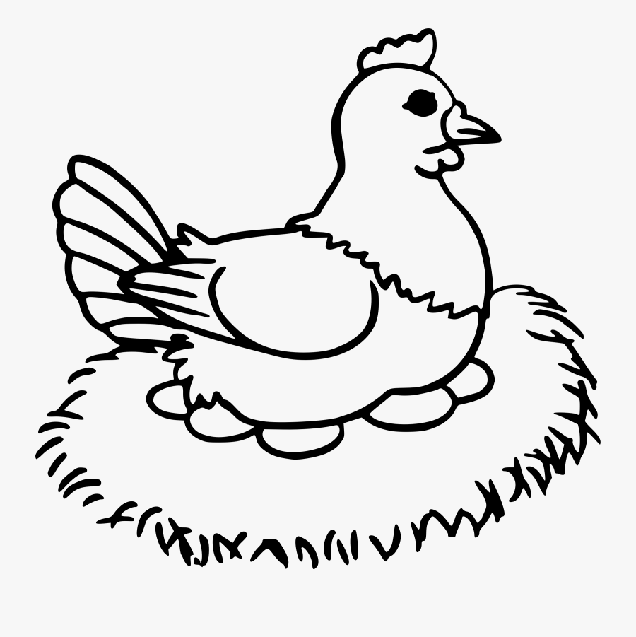 Hen Clipart Coloring - Hen And Egg Drawing, Transparent Clipart