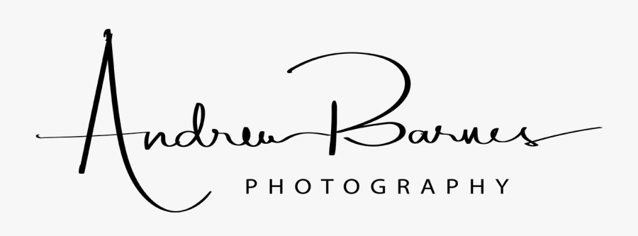 Calligraphy, Transparent Clipart