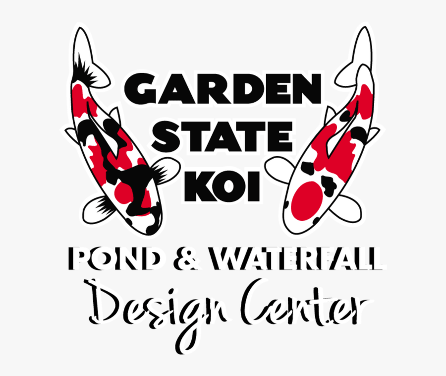 Picture - Koi Fish For Sale Nj, Transparent Clipart