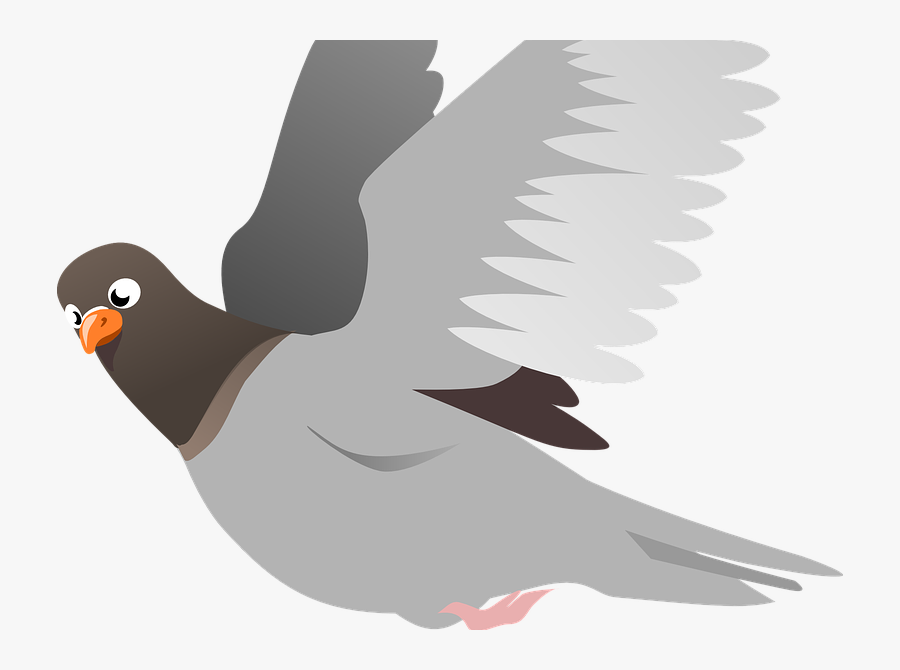 Голубь. Гули летают. Голубь. Голубь гуль. Гули летают.