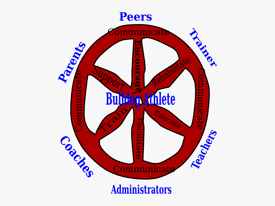 Circle, Transparent Clipart