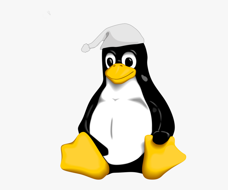 Flightless Bird,bird,beak - System Software Linux, Transparent Clipart