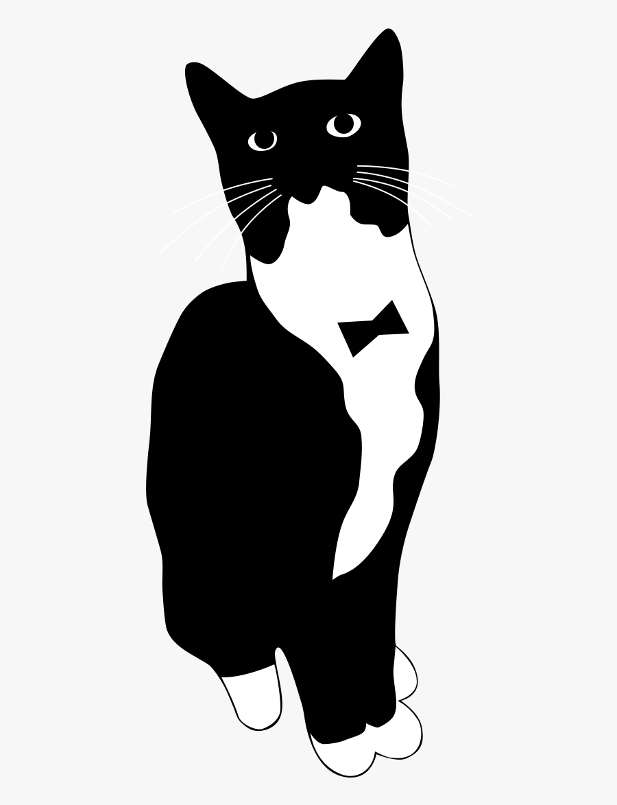 Tuxedo Cat Drawing Easy, Transparent Clipart