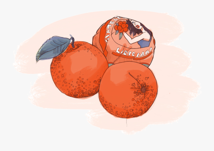 Illustration, Transparent Clipart