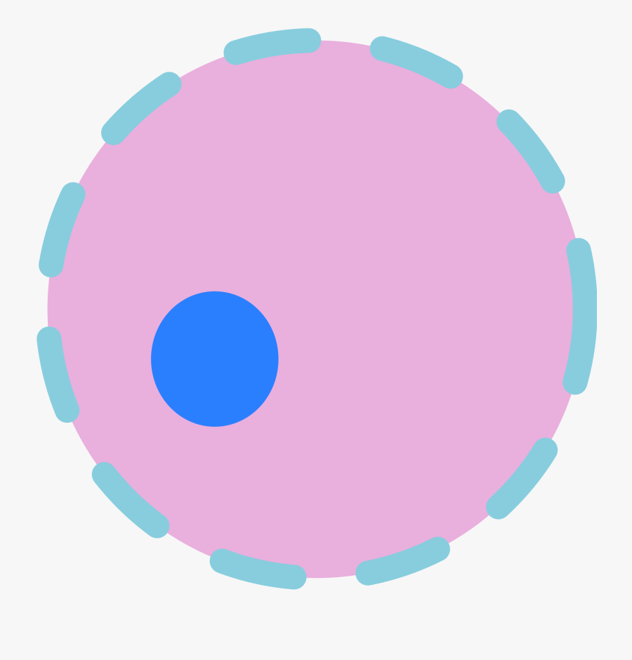 File - Cell Nucleus - Cell Nucleus Png, Transparent Clipart