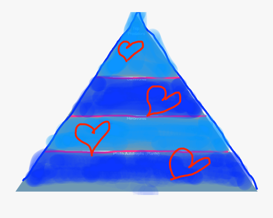 Sail, Transparent Clipart