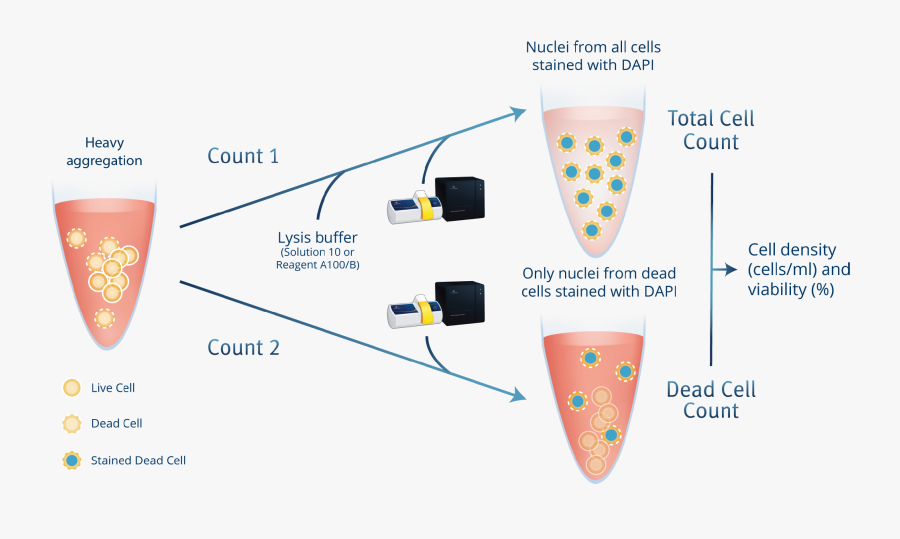 Nucleocounter Nc 250, Transparent Clipart