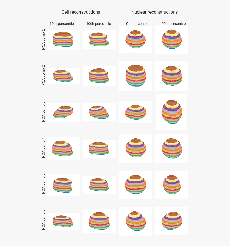 Picture, Transparent Clipart