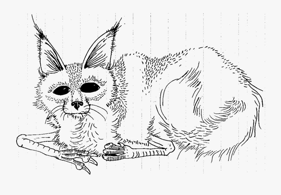 Sketch, Transparent Clipart