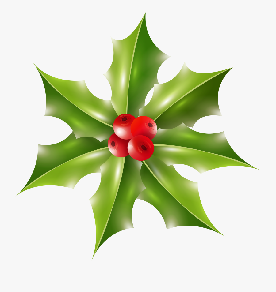 Portable Day Vector Graphics Christmas Network Clipart - Impatiens, Transparent Clipart