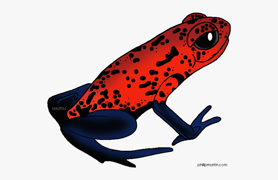 Poison Dart Frog Clipart Transparent Background - Poison Dart Frog Clip Art, Transparent Clipart