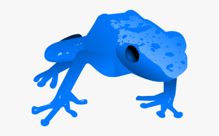Poison Dart Frogs Clipart, Transparent Clipart