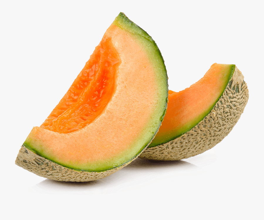 Melon Clipart Png Melon Png , Free Transparent Clipart ClipartKey