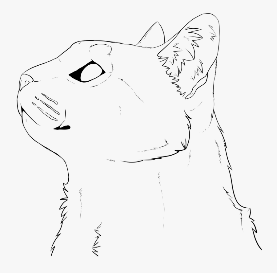 Homeless People Lineart - Realistic Cat Face Lineart, Transparent Clipart