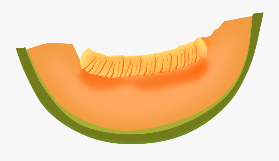 Cantaloupe, Melon, Fruit, Food, Fresh, Healthy, Sweet - Cantaloupe Clipart, Transparent Clipart